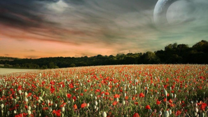 黄晓明上戏考博落榜，本人回应「明年再战」，怎样看明星对高学历的追求？上戏博士有多难考？